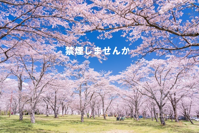 禁煙しませんか